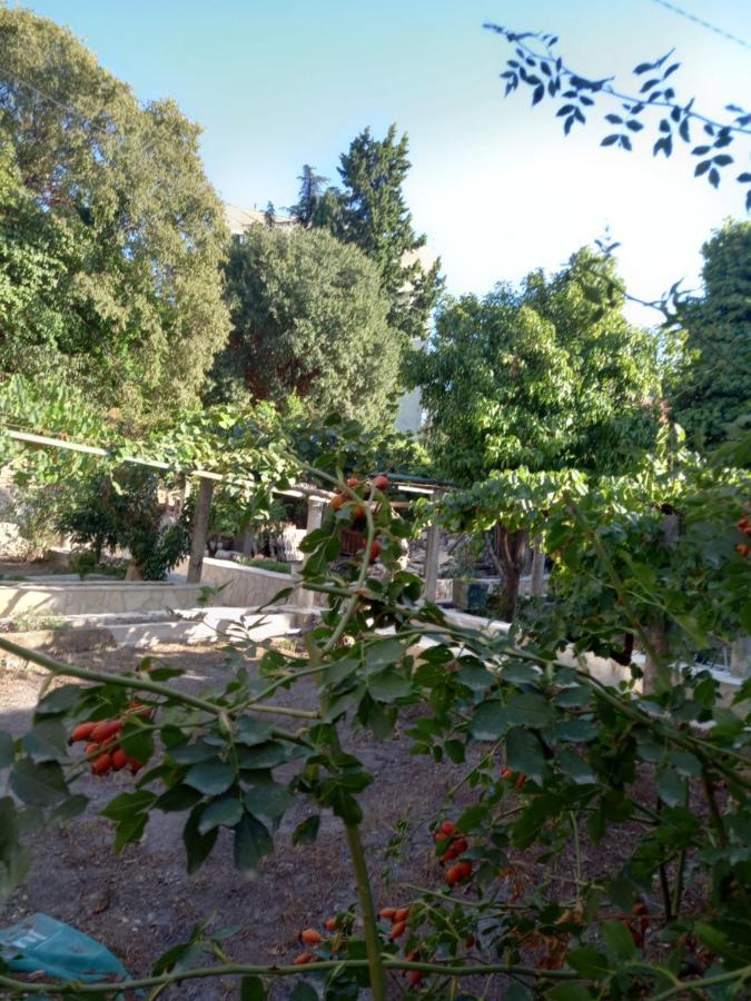 Stone Oasis Vito Apartment Dubrovnik Ngoại thất bức ảnh